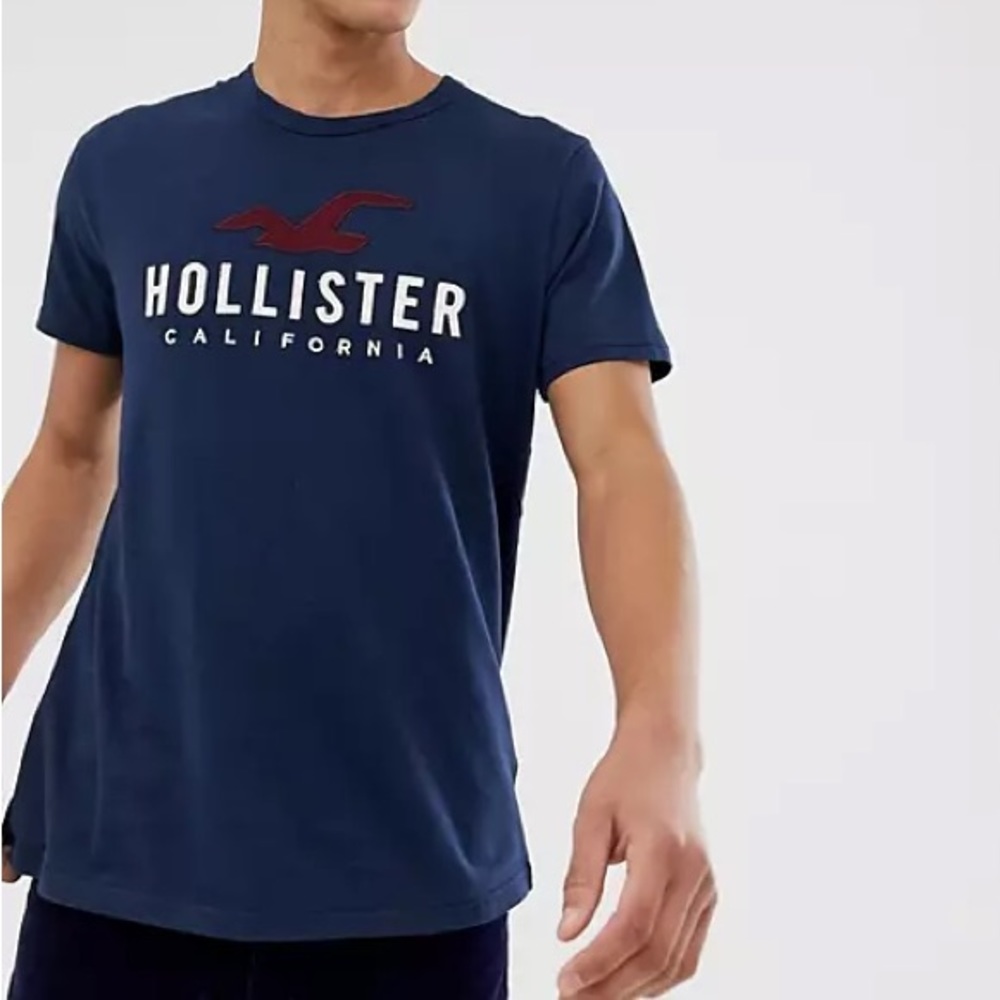 NWT/ HOLLISTER Co./Men's Logo Graphic Tee /Navy/SMALL